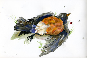 Artist rendition of a dead robin. The one my mom cooked started off like this. 