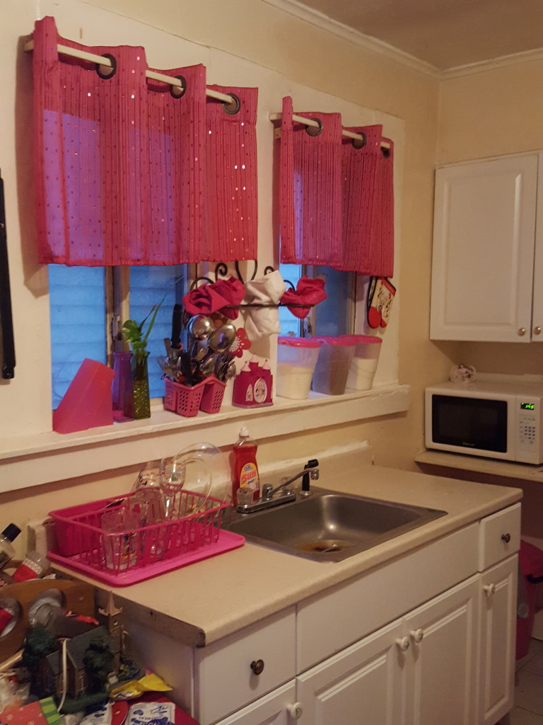 Diana's kitchen in her home on Staten Island. She surrounds herself with the color pink because she calls it her "happy color." Photo by Kailyn Lamb.