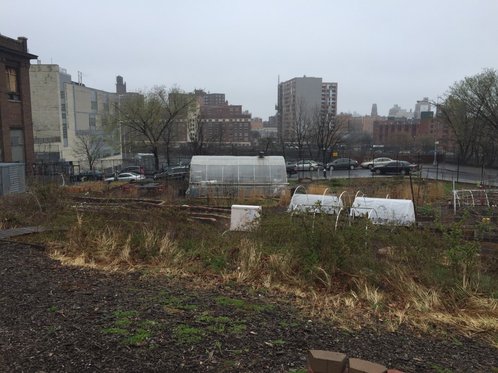 New Roots Community Farm members have access to a greenhouse, beehive and a composter at the Bronx location. Photo: JoVona Taylor.