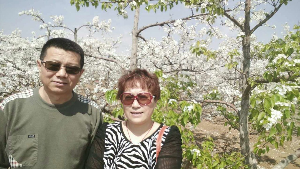 My parents  stand in front of a cherry tree.