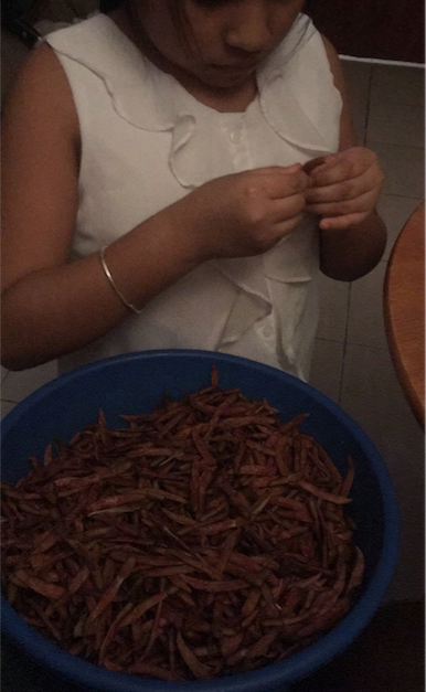 One of Alfonso and Primi's daughters standing over a bowl of chiles huajillos